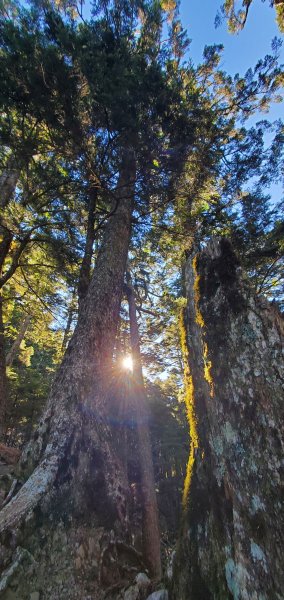 2025國慶連假_南湖群峰7座百岳行2916921