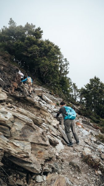 南橫百岳—關山嶺山2383960