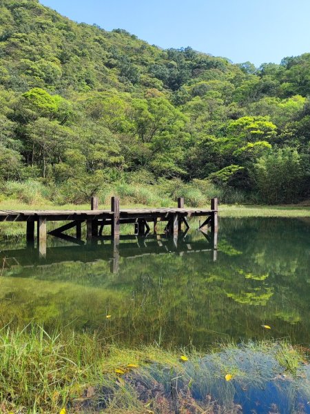 新山夢湖-友蚋山-友蚋南峰-五指山古道2755384