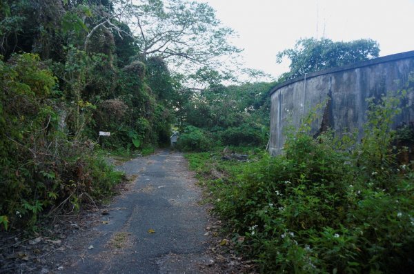 三腳南山登山步道2009912