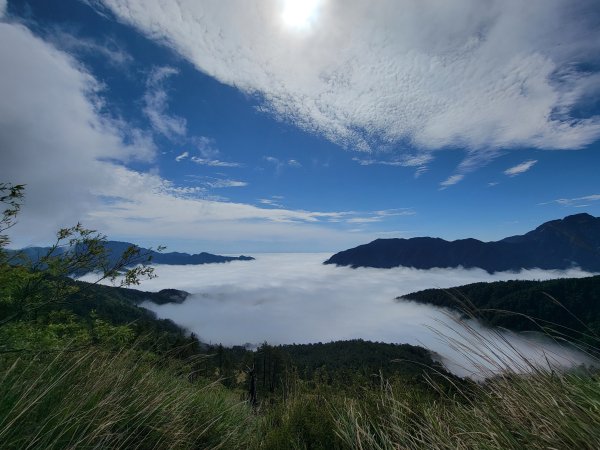2026-0517-合歡北峰初探3066498