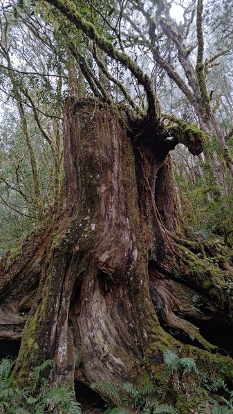 仙女散落的珍珠2723936