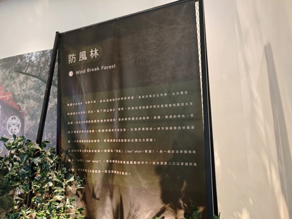 [霄裡好風光，運動樂悠遊！-2/10] 2025_0608 永安海螺文化館2808082