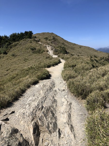 合歡百岳(東峰+石門山)賞杜鵑2131572