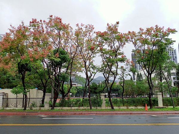 內湖大港墘公園、大湖公園 (防災公園) 【走路趣尋寶】1896625