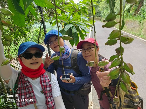 20250921平溪石筍尖連走赫山(三坑山)O型走2894468