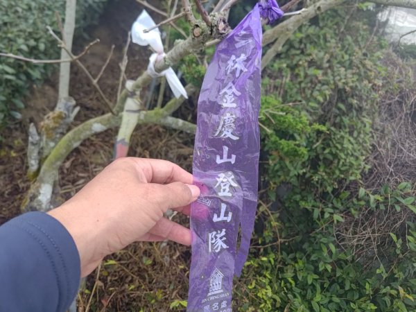 梅山鄉撿山頭2449372