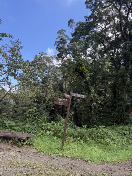 91北大武山（至檜谷山莊）115.10.043128663