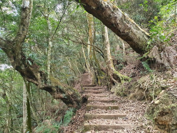 四大天王山步道1362004