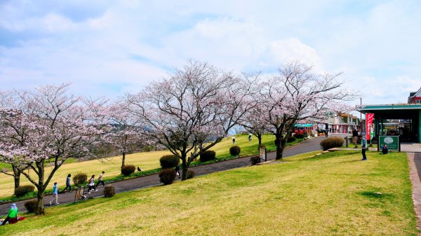 鹿兒島高千穗牧場3028178