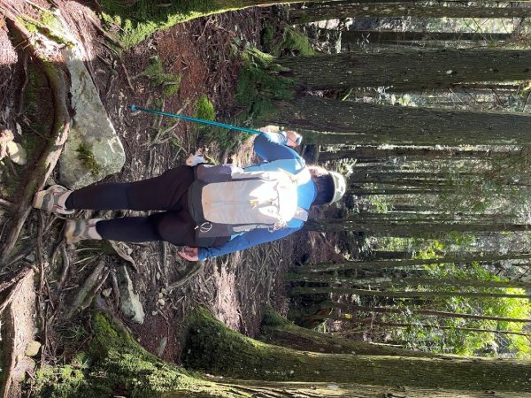 20241010_觀霧森林遊樂園區2855686