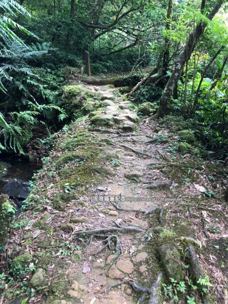 三貂嶺越嶺猴硐步道1035730