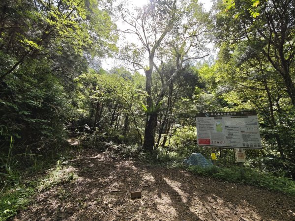 2025_0601 赫威山2802302