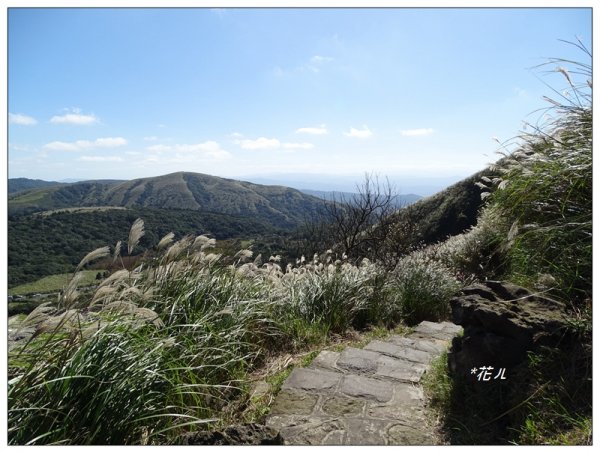 七星山連峰/芒花738693