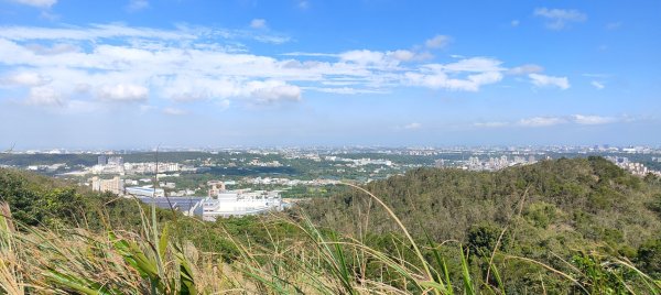 秀才登山步道2936929