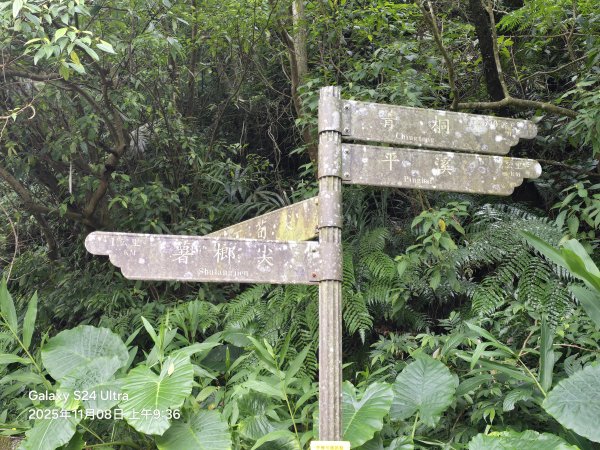 2025-11-08微笑山線：【五分山系】菁桐煤礦段2932706