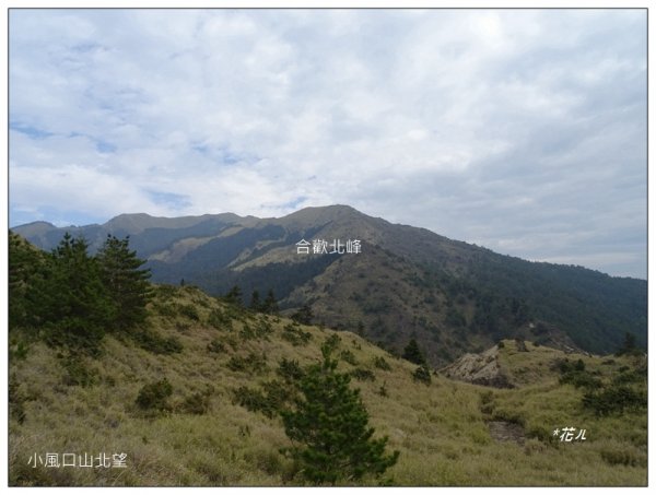 合歡坡/小風口山1329166