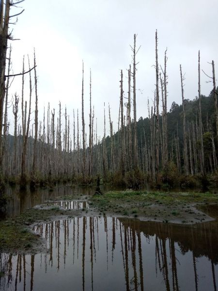 重裝上鹿屈至水漾324806