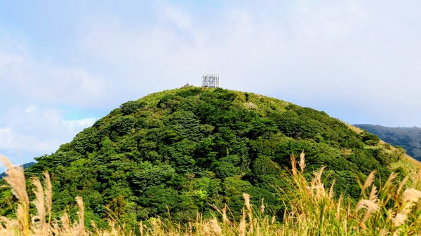 向天蝦不蝦2936819