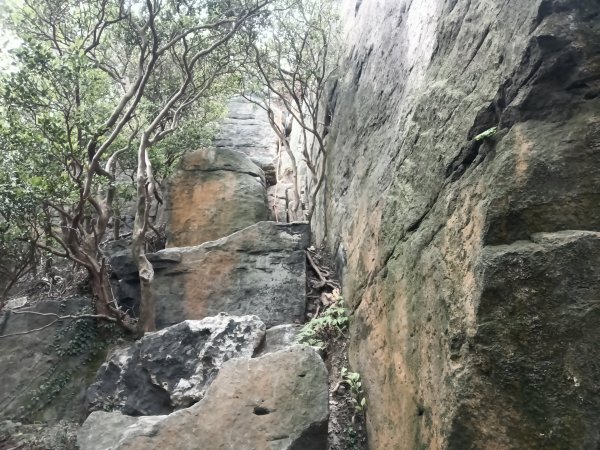 北投區大砲岩-石壇山-大師岩-湯守山-熱海岩場-八頭山-烏尖連山-軍艦岩3027338