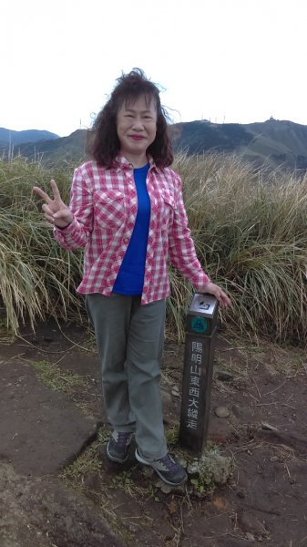 【陽明山東西大縱走活動】完成連峰紀念狀915469