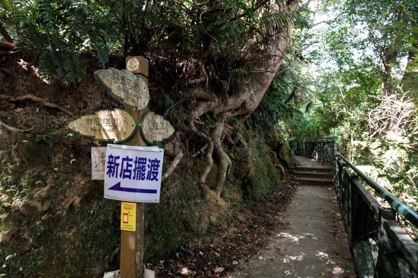 和美山｜新店碧潭步道2892097