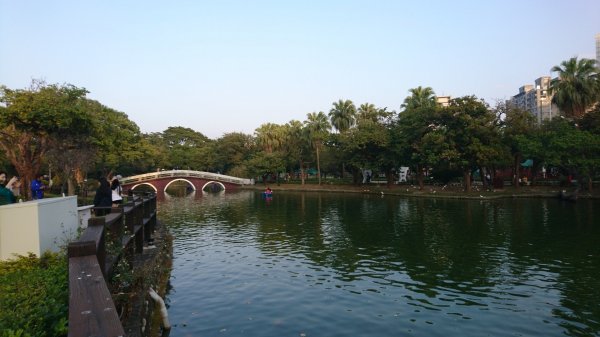 台中公園517032