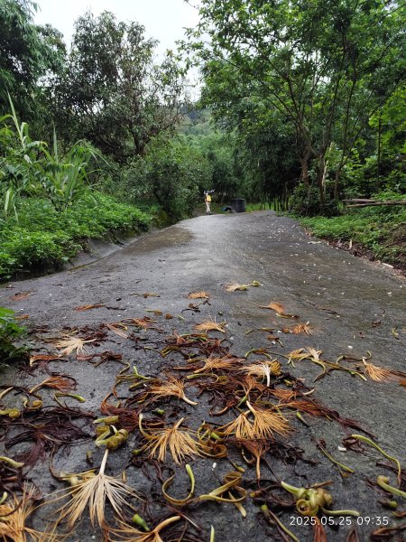 小金面山→西湖山→論劍山→剪刀石山→金面山步道2796817