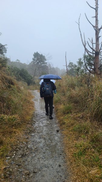 2025-0222 翠峰湖環山步道2718634