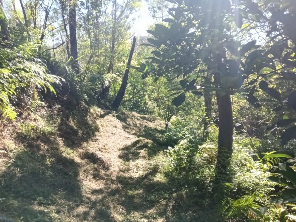 雙溪區豹子廚越嶺保甲路2876998