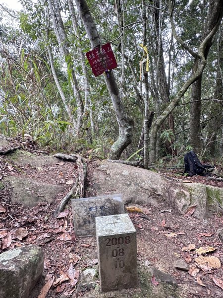 特富野古道到梯子板山2468889