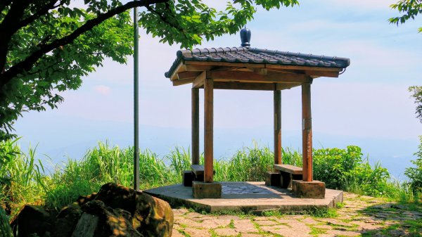 黑端建斑蝶（斐豹蛺蝶）3068590