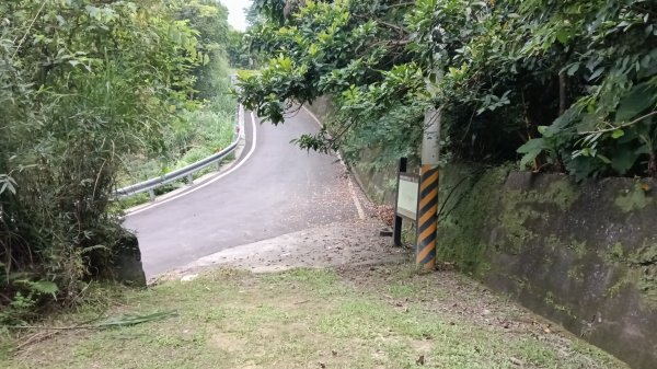 雙溪區嶺頭觀日步道-西九份坑山-西九份坑山前峰-雙溪車站3063086