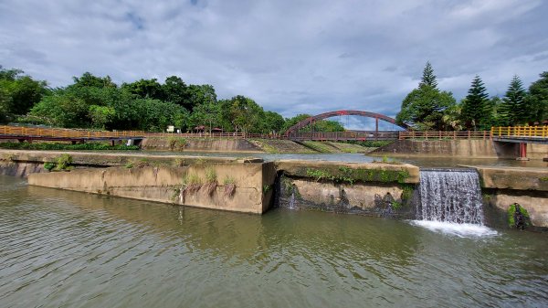 110/10/23樟之細路：新竹縣關西鎮渡南古道、羅屋書院、關西金城武樹1496488