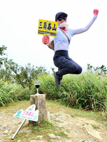 小百岳三角崙山(東南峰)全紀錄2879969