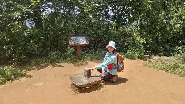 (姨婆趴趴走)第五十三集:台北內湖三山（白鷺鷥山、康樂山、明舉山）連走2774619