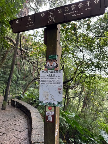 細雨中遠眺101登南港山2043823