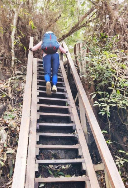 【中級山】天梯直上雲霄，一切美景盡在眼底，谷關七雄白毛山2742440