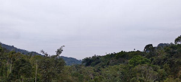 2025/02/08_苦苓腳古道2709247