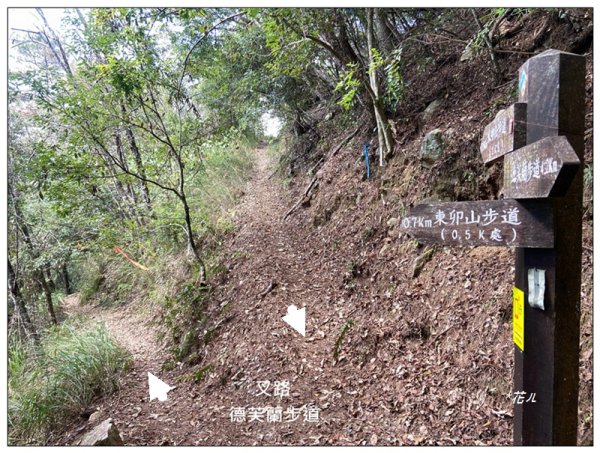 東卯山、東卯山西峰、東卯山西南峰 連走2932843