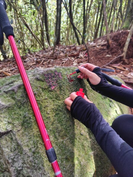 長壽山、肥崠山、醜崠山、大崠山、大崠山經建版2931571