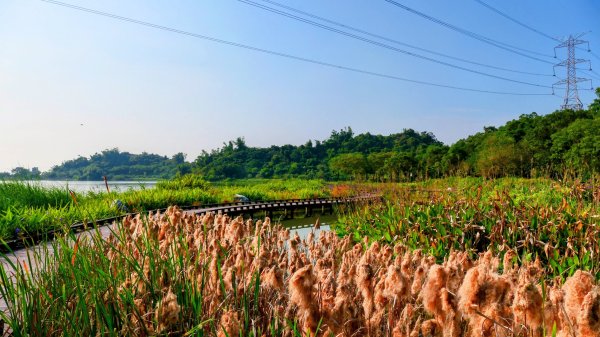 大社觀音山湖2954911