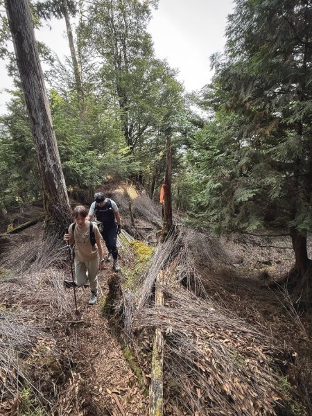 船型山林道賞雲海、烏石坑山、2432峰 山景海景一次到位2929299