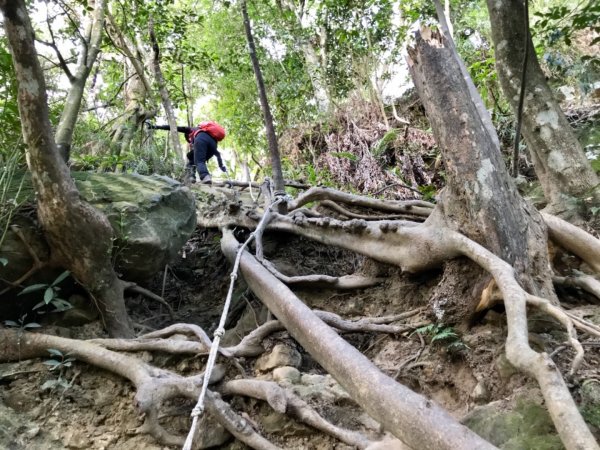 五寮尖上大風狂448889