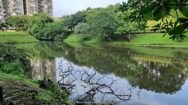 《台北》城市晨運｜南港公園後山埤公園O繞20250523