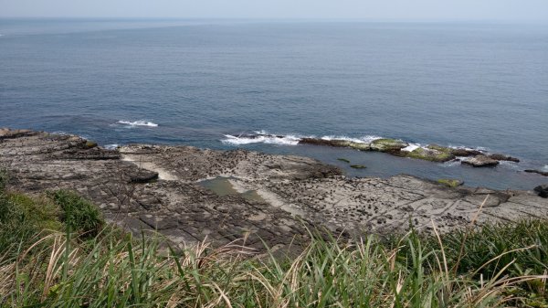 鼻頭角稜古步道921470