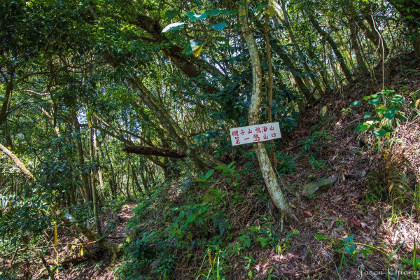 [高雄]網子山、鳴海下山、鳴海山2585507