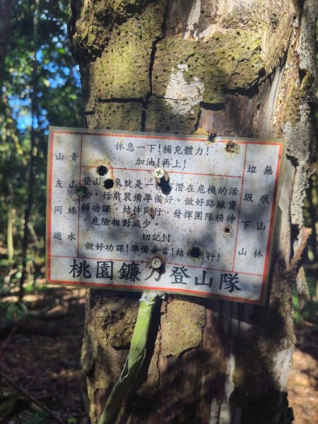 南東眼山連走有勝山2918728