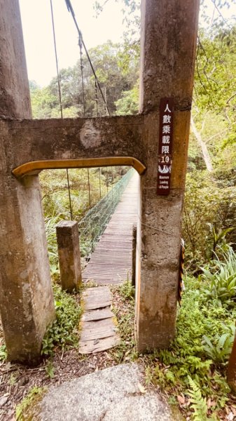 山車廣山.福巴越嶺O-神木群-水晶蘭-根結蘭2756252