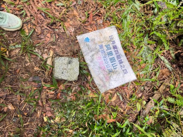 阿里眉山+大舌滿山（路跡不明/未竟 ）2864623